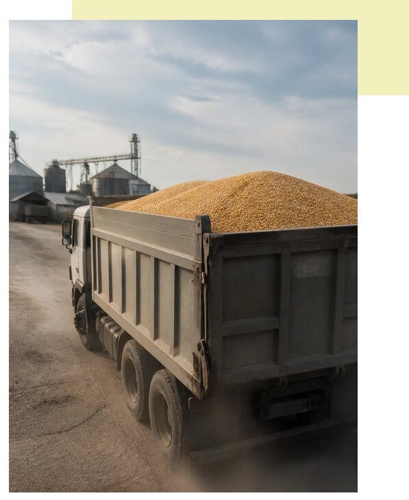 Перевозка сельхозпродукции навалом в Новодвинск по цене от 3068 р. | Агросервис-Нвд